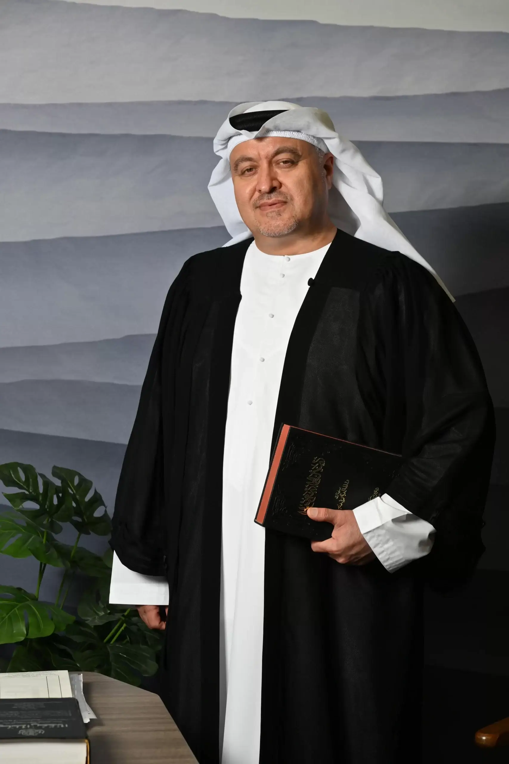 Ali Ibrahim - Ali Advocates